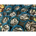 Light Catch Sardine Fish for Tuna Bait (Sardinella aurita)